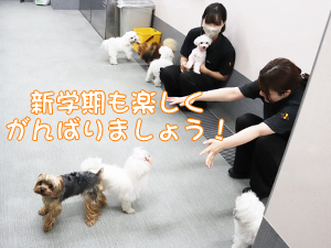 新学期になりました♪